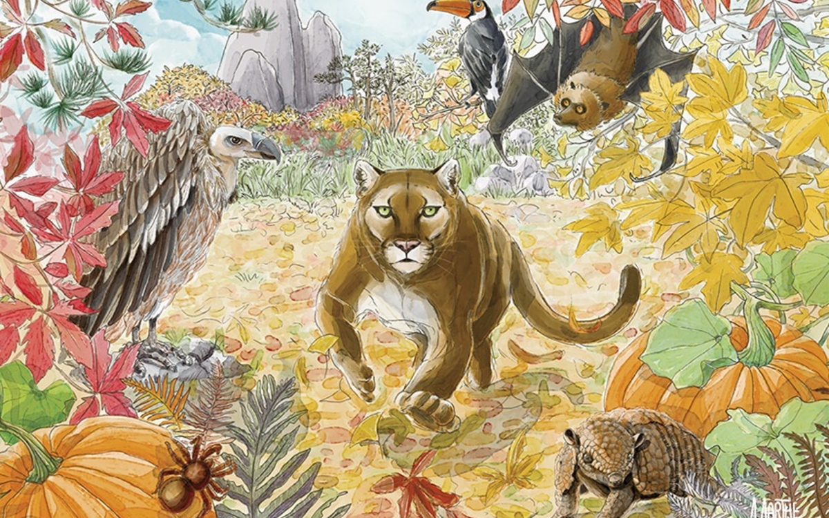 Les rdv sauvages du parc zoologique de Paris