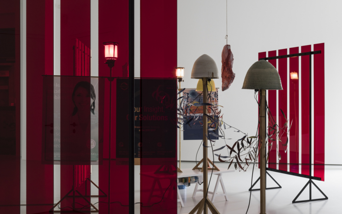 Le Poumon et le cœur, 2018 Vue de l'installation à la galerie Gregor Podnar (Berlin, Allemagne)