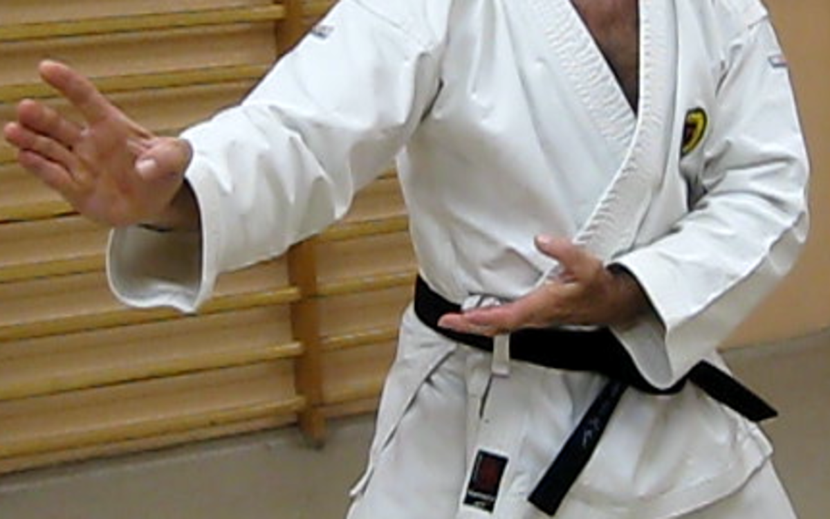 karate shorinji ryu - kobudo d'okinawa - tous niveaux