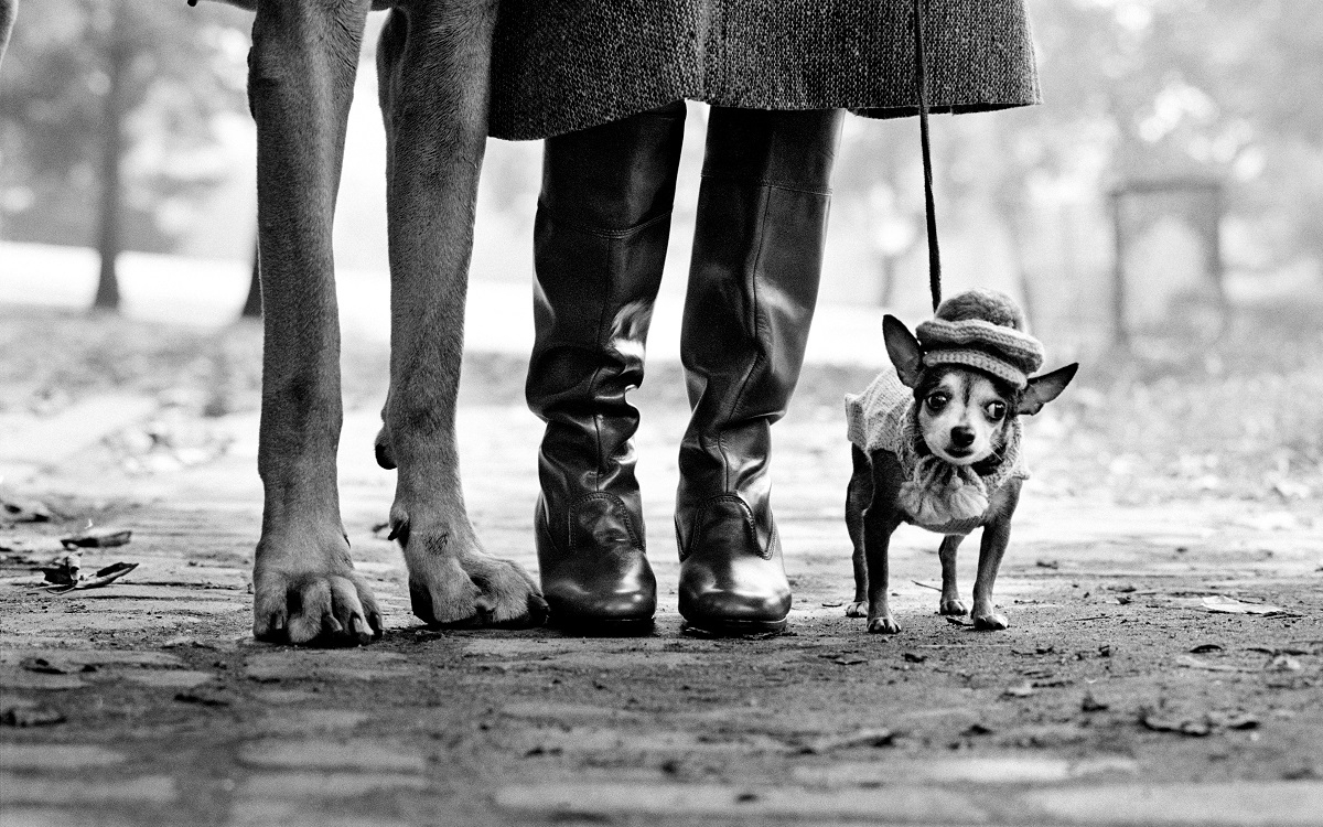 New York, USA, 1974.