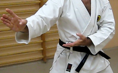 karate shorinji ryu - kobudo d'okinawa - tous niveaux