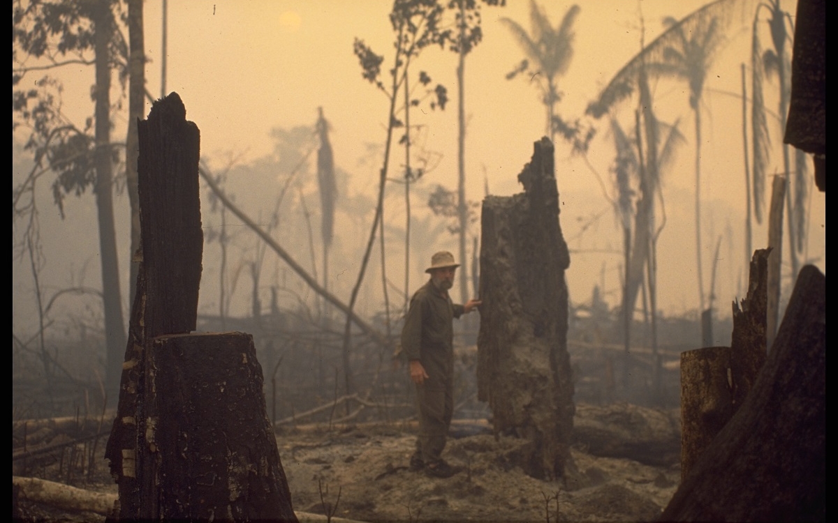 Frans Krajcberg, le militant