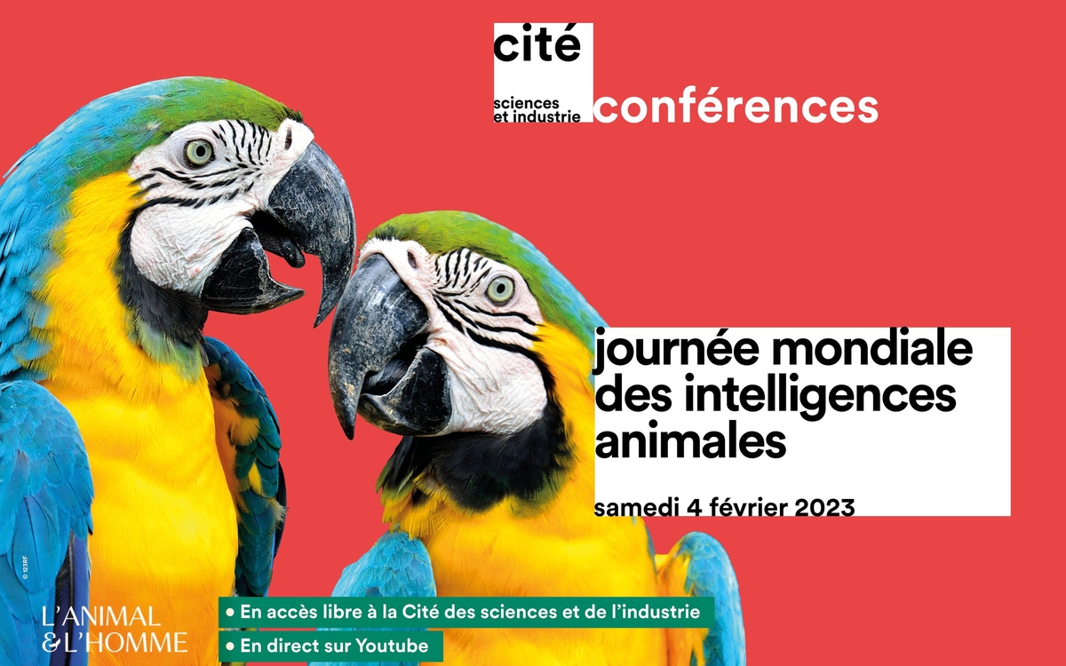 Journée mondiale des intelligences animales à la Cité des sciences et de l'industrie