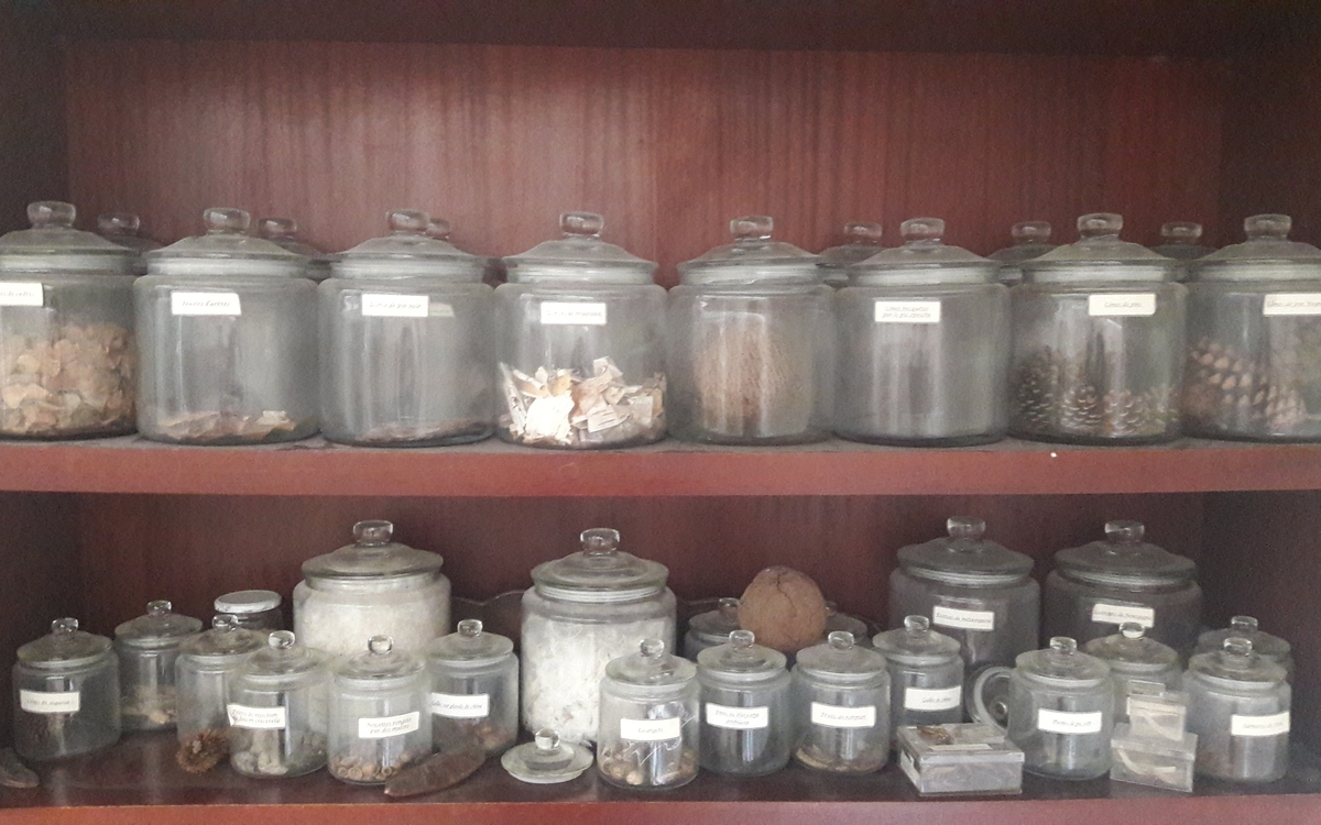 Bocaux ©Frédéric Jarry