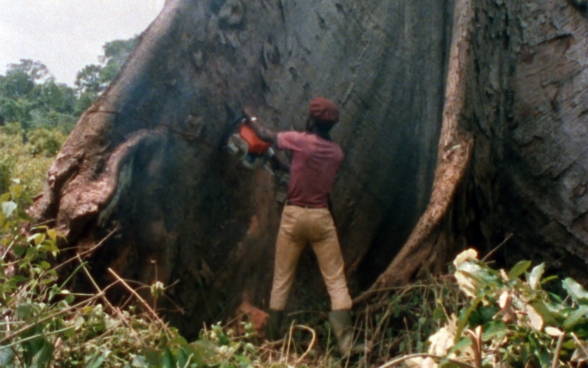 La prise de conscience écologique des années 1970-80 dans les films de la Cinémathèque Centrale de l’Enseignement Public