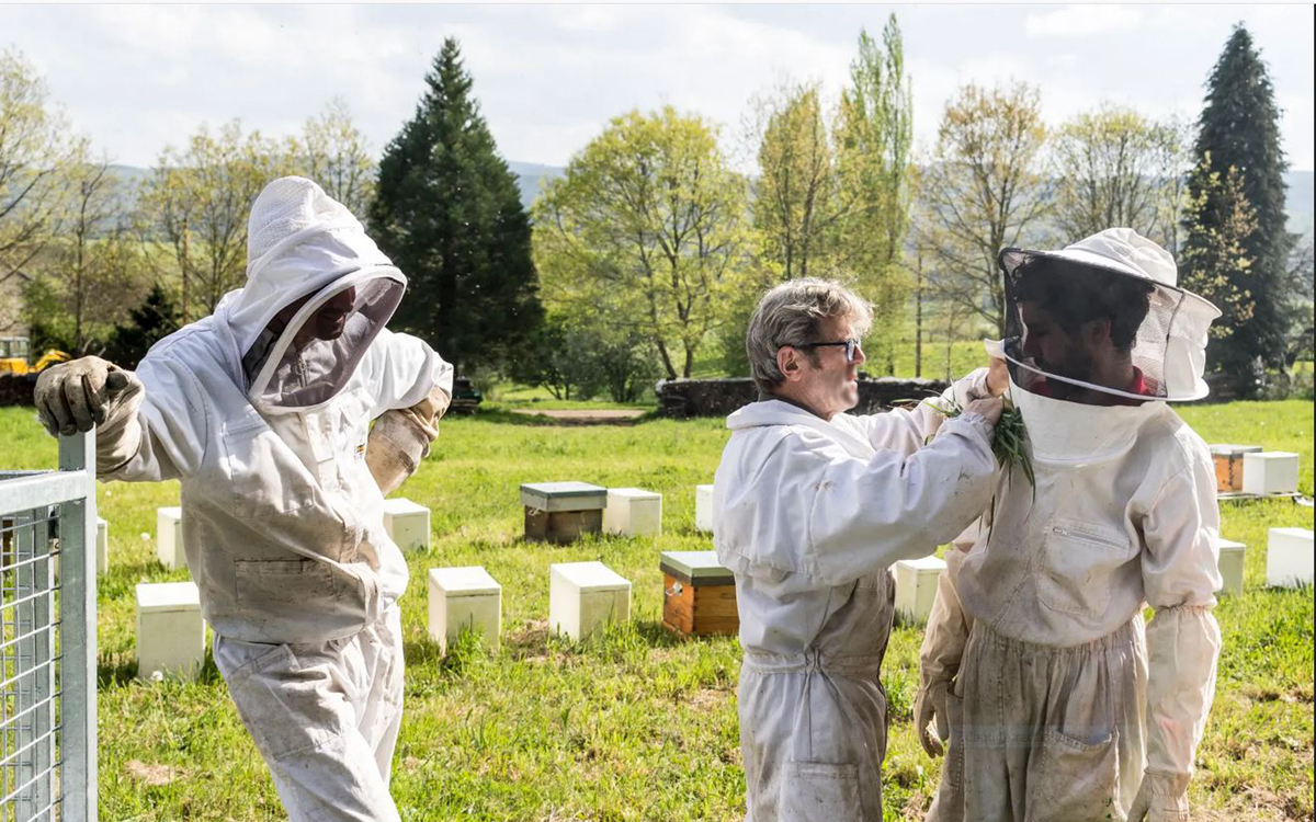 Photo d'apiculteurs en combinaison et masque au milieu de ruches