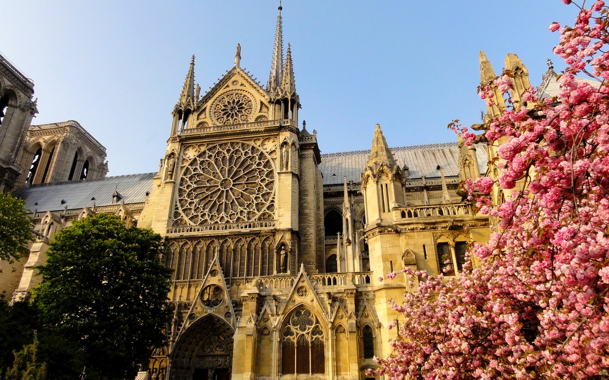 Photo de Notre-Dame de Paris avec des arbres fleuris de fleurs roses