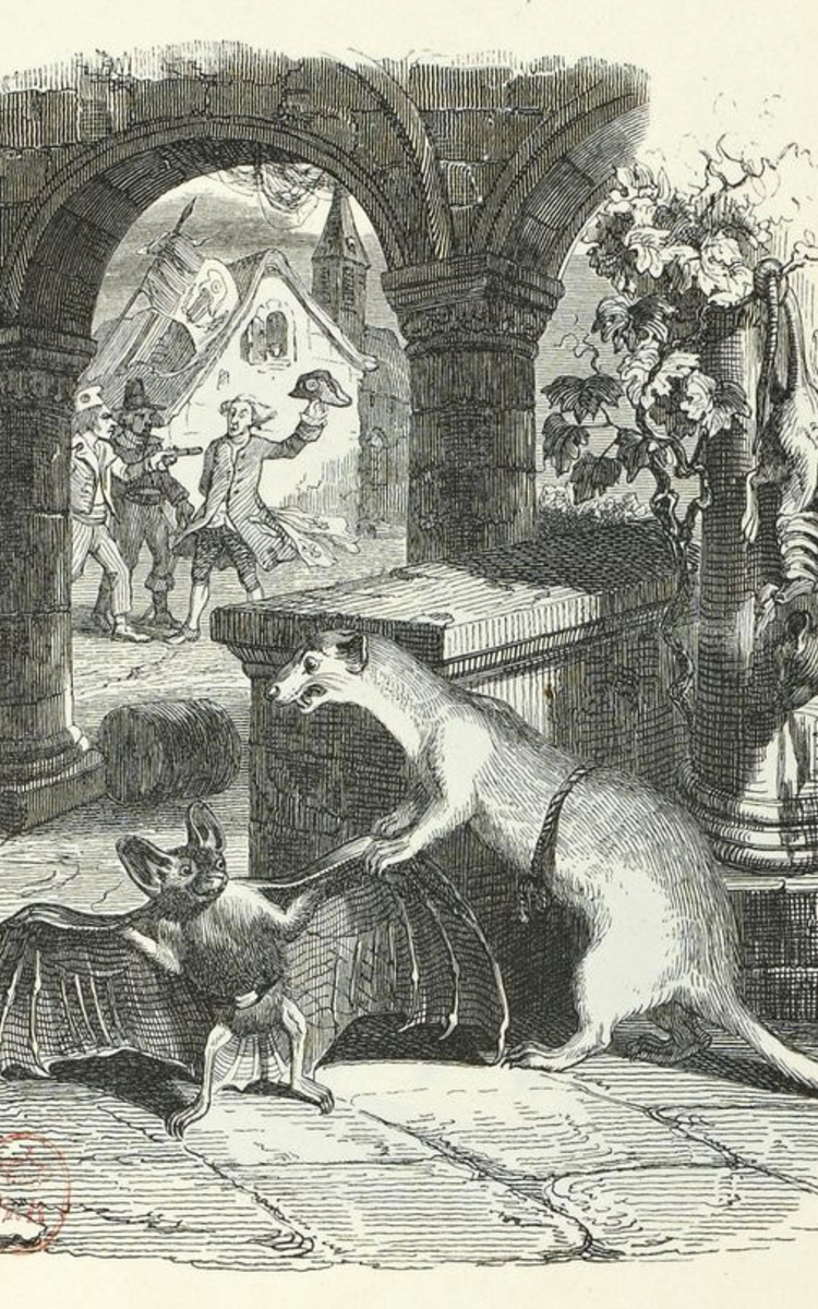 "La Cantate de la chauve-souris" de Manuel Coley : page musicale du conservatoire à la bibliothèque.. | 