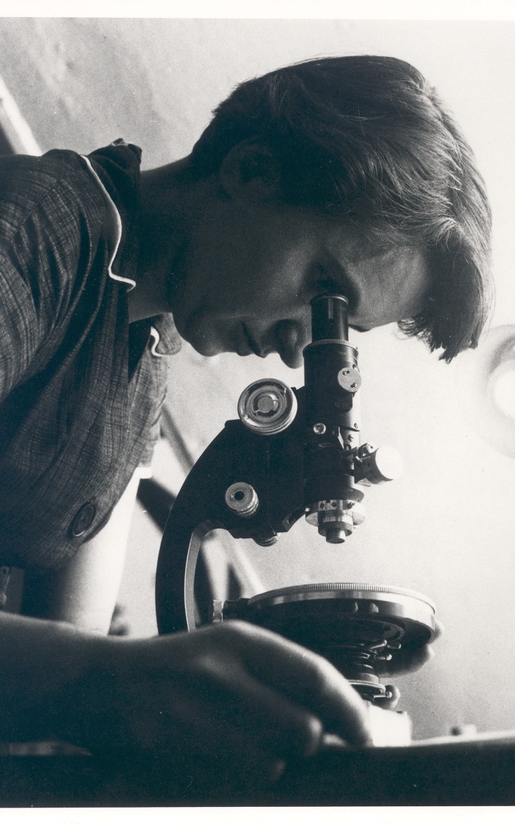 Rosalind Franklin observant au microscope en 1954