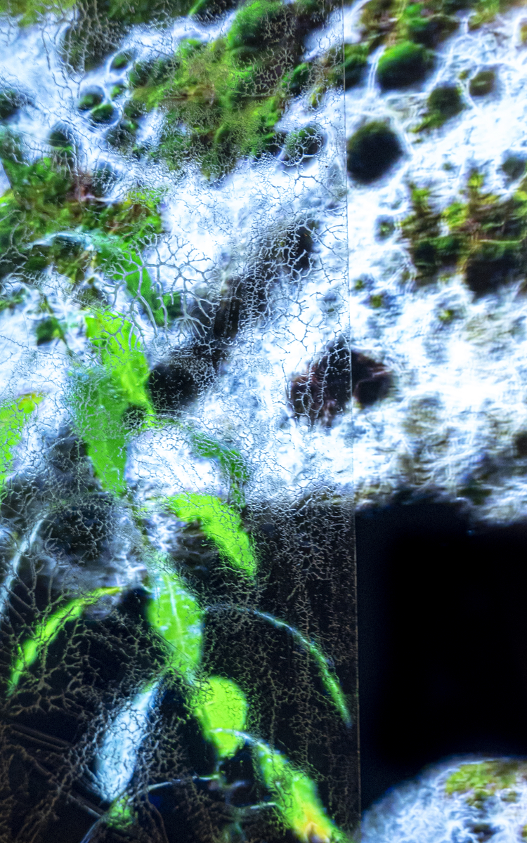 Installation du collectif Capsule (son, lumière, projection) Motion sculpture présente la vision d'un paysage du future, impacté par l'être humain.