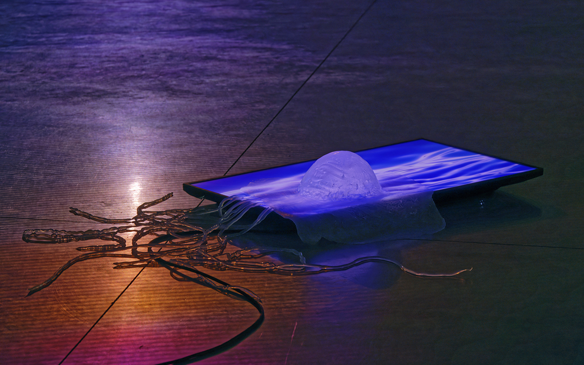 Un écran tv diffuse des vagues. Au-dessus de celui-ci une créature marine, de type méduse.