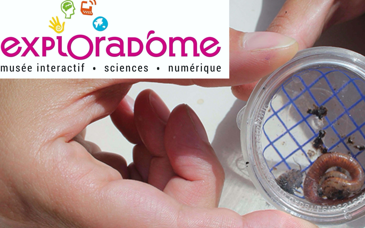 Une personne tenant dans ses mains un vers de terre afin de l'observer à la loupe.