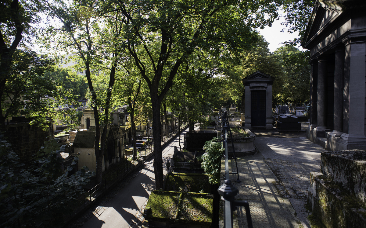 Vue sur les allées ombragées du Cimetière