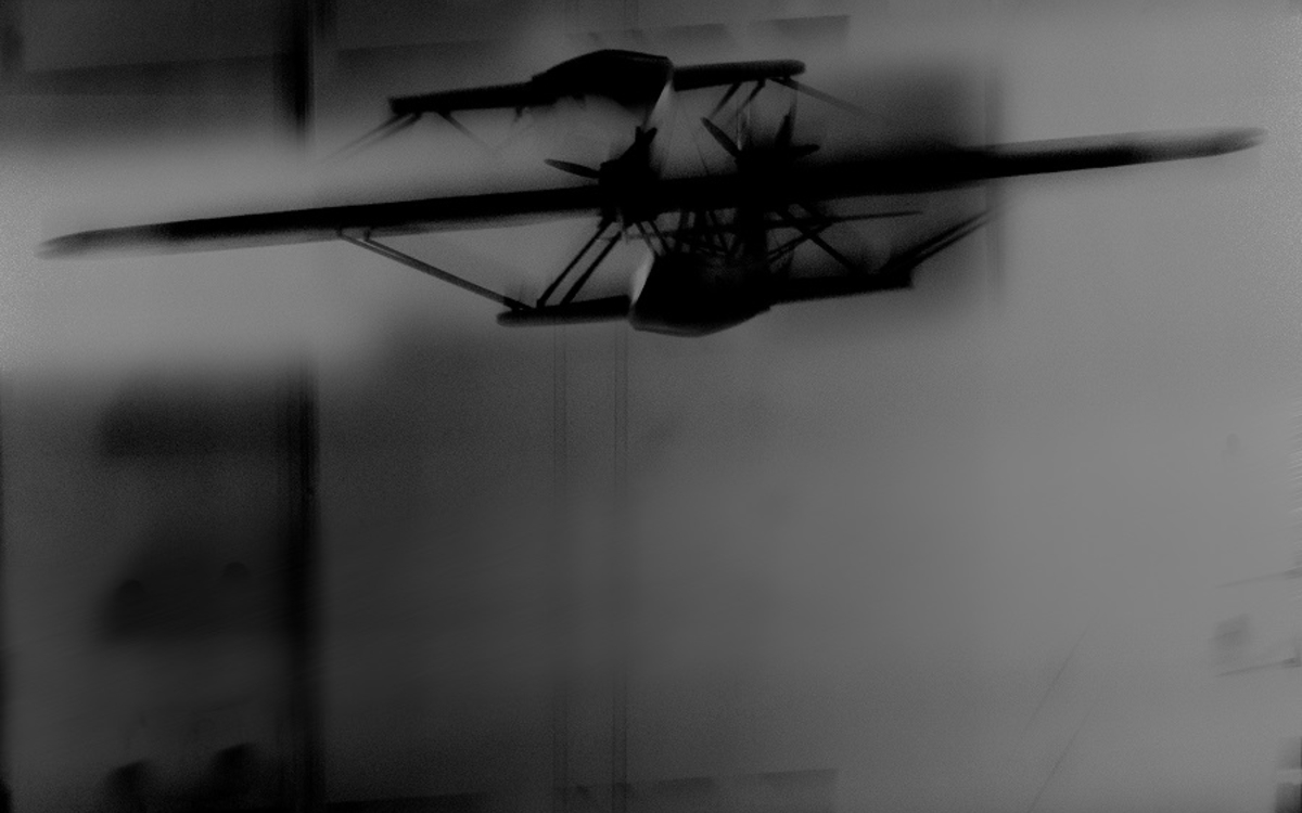 Tirage au phénol de marronnier