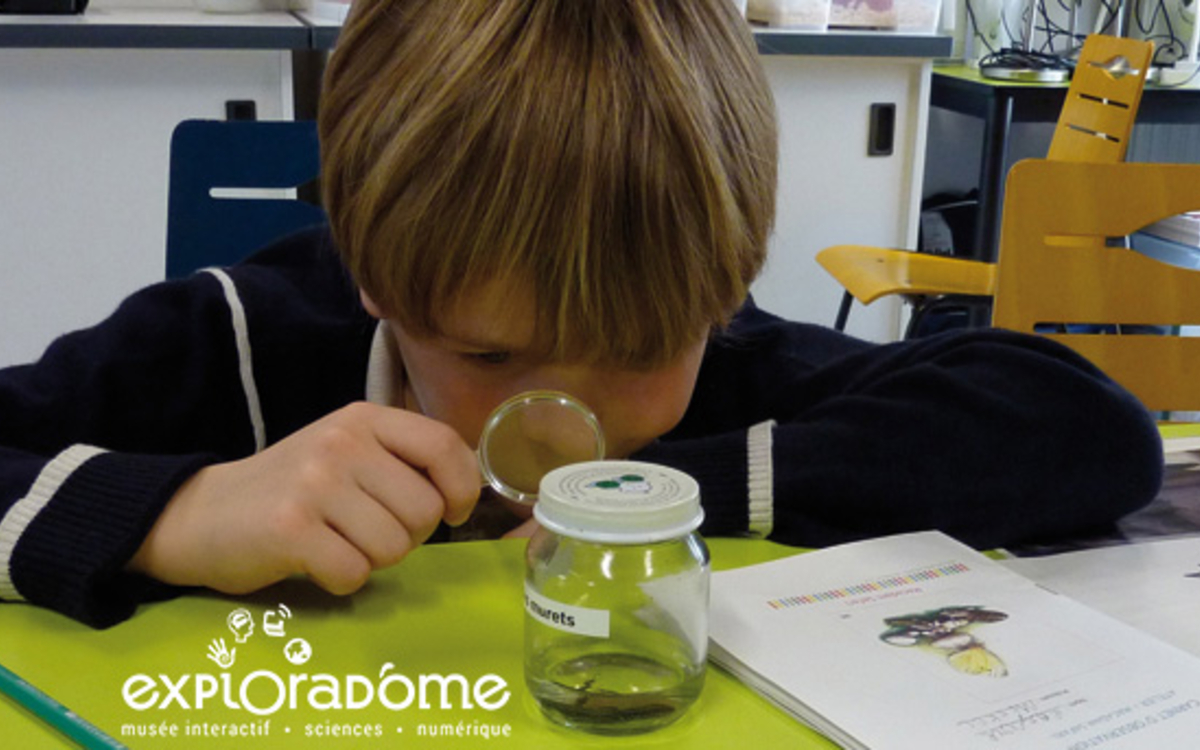 Un enfant observant un insecte avec une loupe à l'Exploradôme.