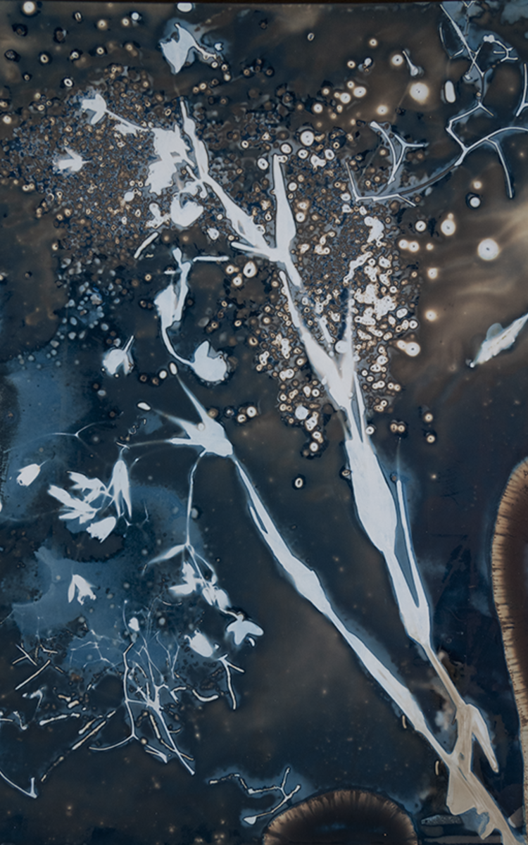 Photographie cyanotype abstrait