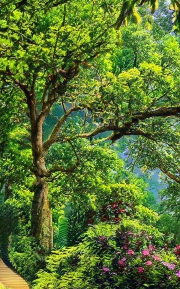 06 18 Intelligence artificielle