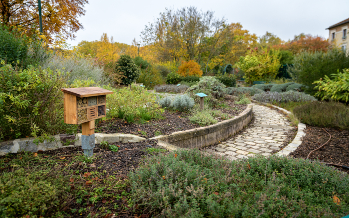 06 27 Biodiv Gearges Brassens_-_Frederic_Combeau_-_Parc_Georges_Brassens_75015_preview