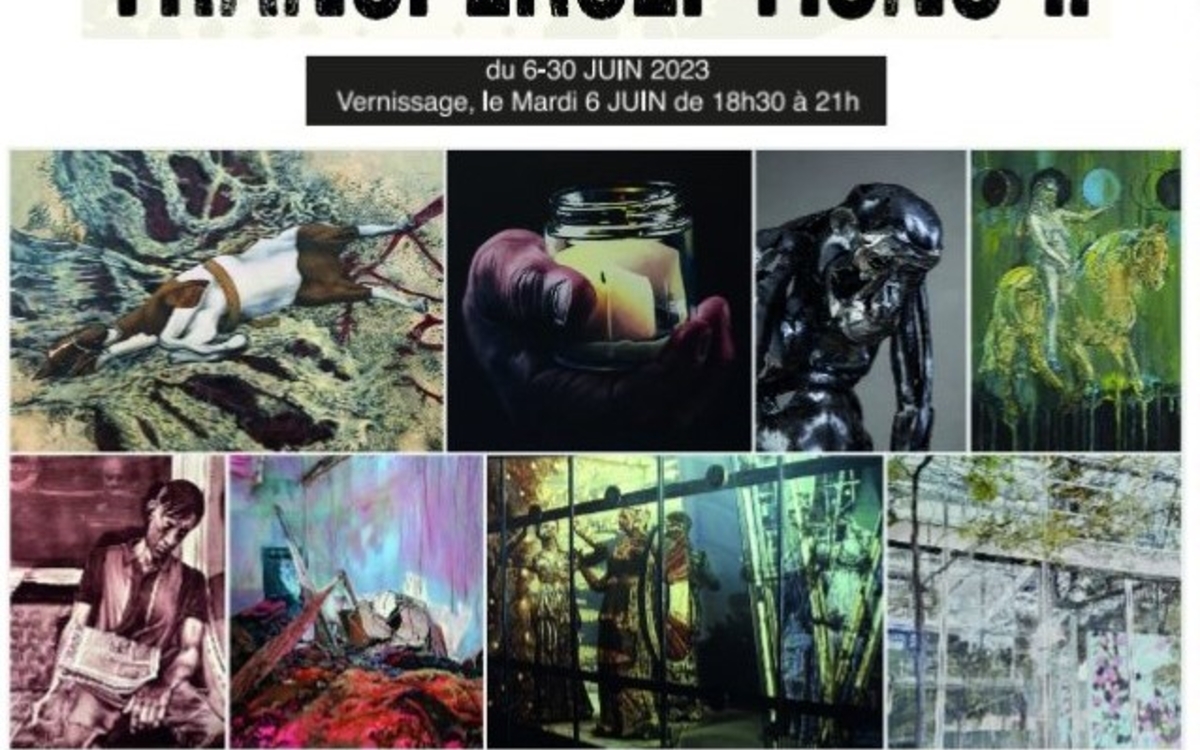 Visuel Expo TRANSPERCEPTIONS II