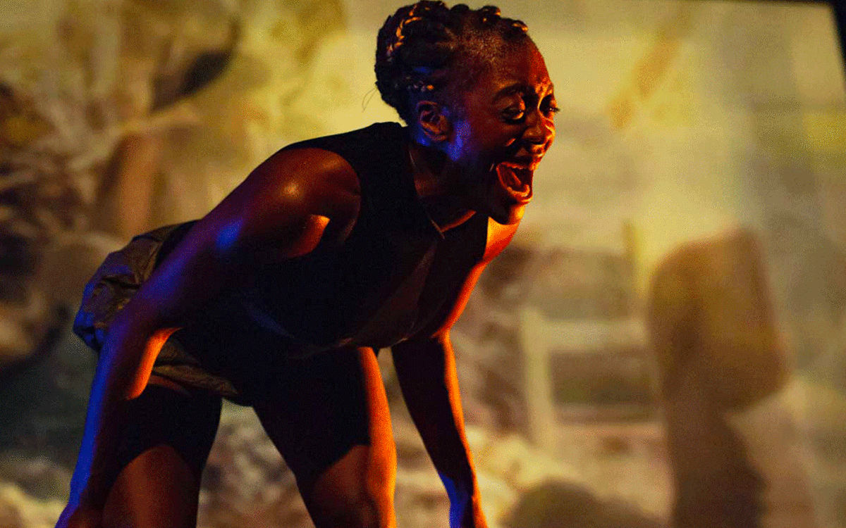 capture du spectacle