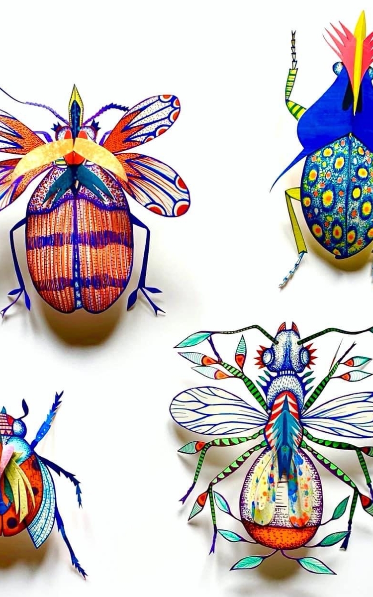 Les spécimens. Des Oeuvres en papier découpé de Michaël Cailloux et Julie Yülle