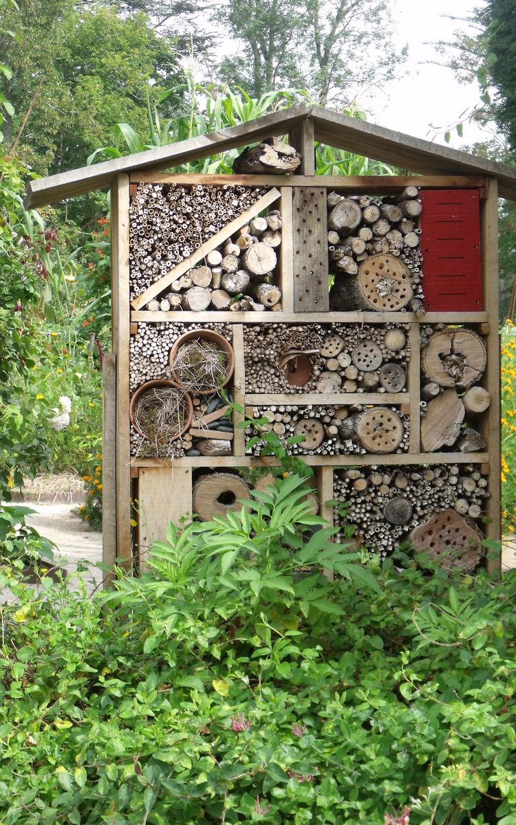 Hôtel_à_insectes