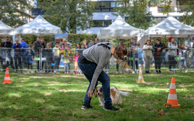 Démonstration canine devant un public 