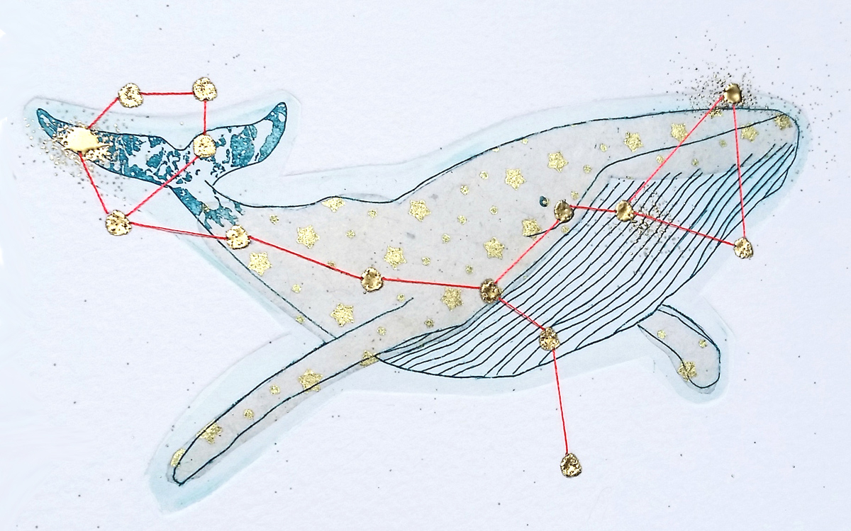 illustration de Jeanne Picq représentant une baleine, extraite du livre "Constellations"