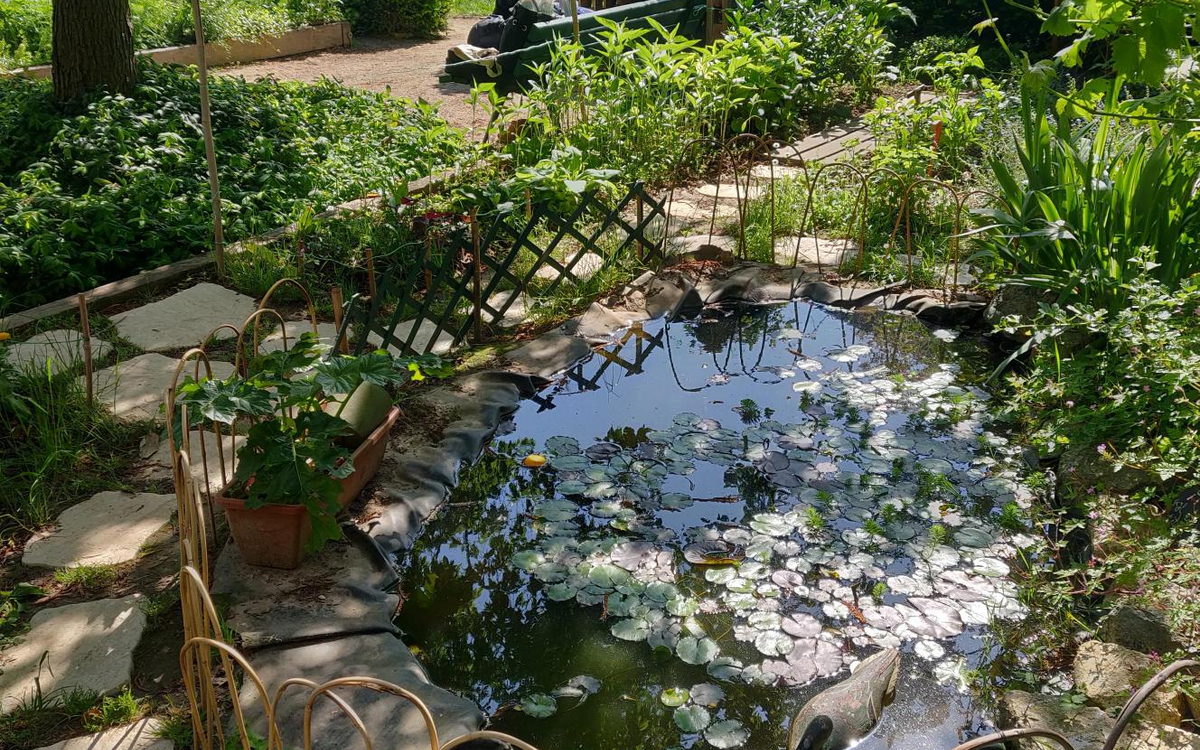 Photographie de la mare du jardin partagé Le Jardin d'Abel