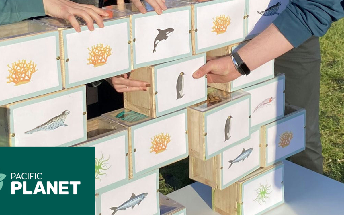  Mur constitué de modules en bois avec différents visuels d'animaux marins