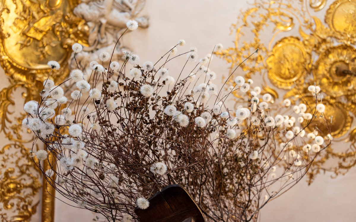 Bouquet de pissenlits sur branches de Cyste avec en arrière plan les dorures des moulures du plafond de la chmabre d'apparat de la Princesse à l'hôtel de Soubise