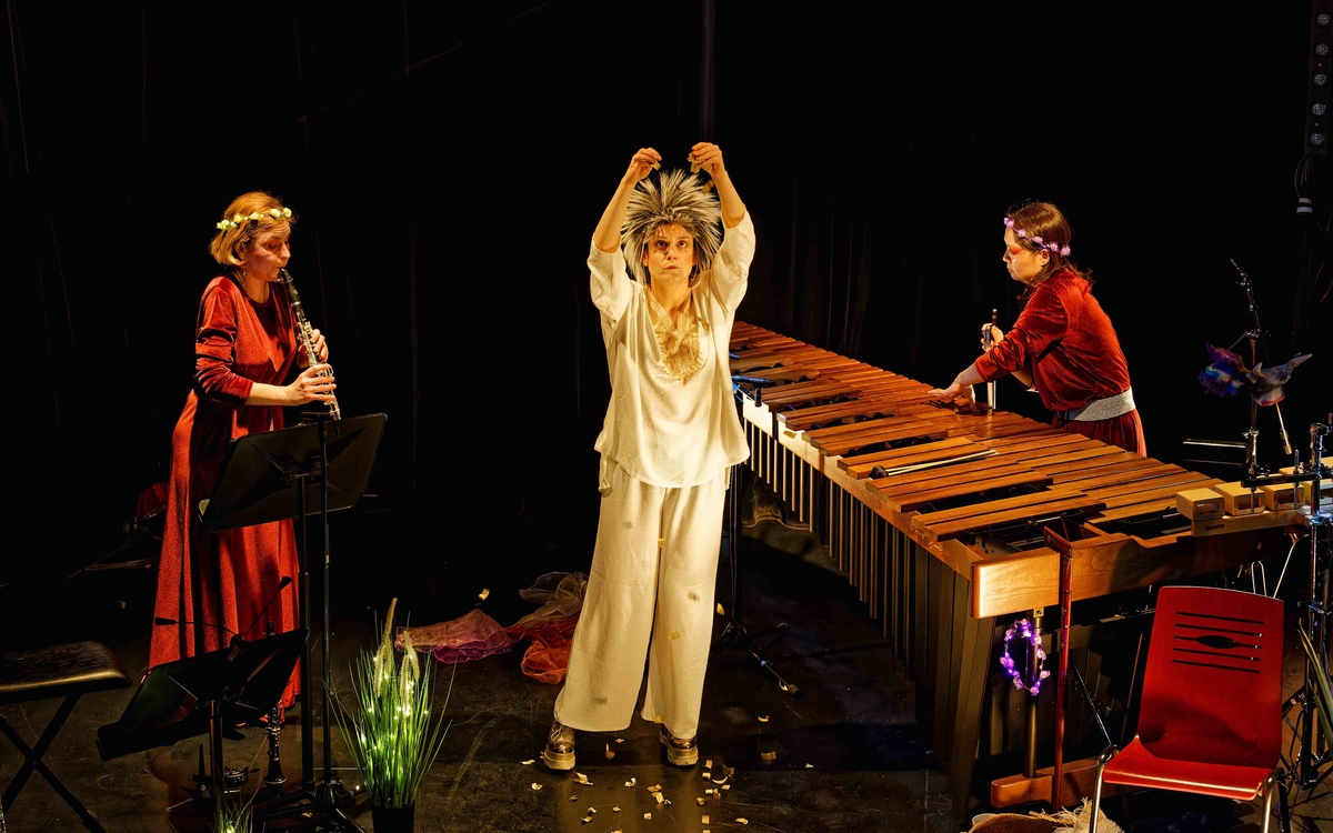 1 clarinettiste, 1 comédienne et 1 percussionniste (marimba et percussions diverses) 