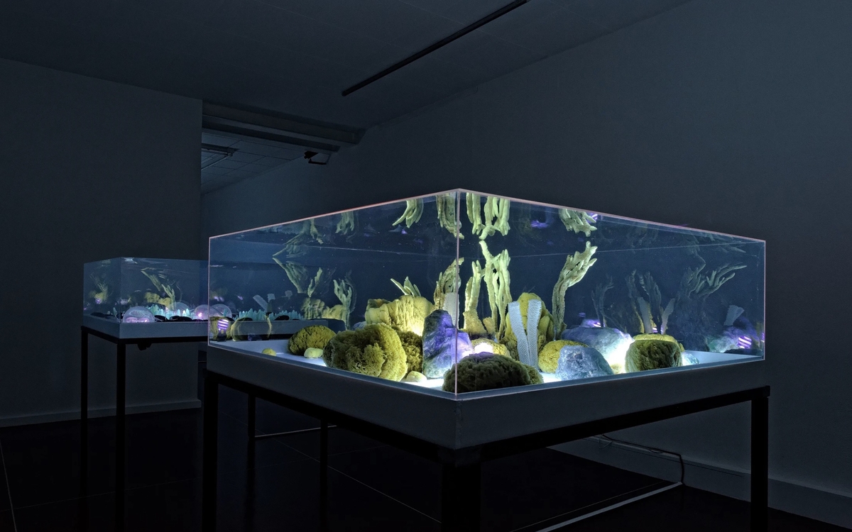 AOO, Hydra Post-humana, 2021