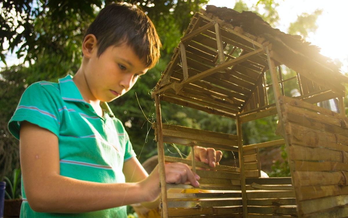 Activités Architectes en herbe