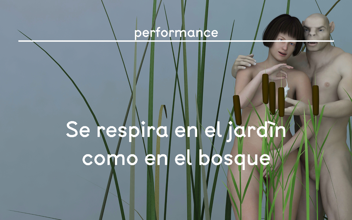 performance