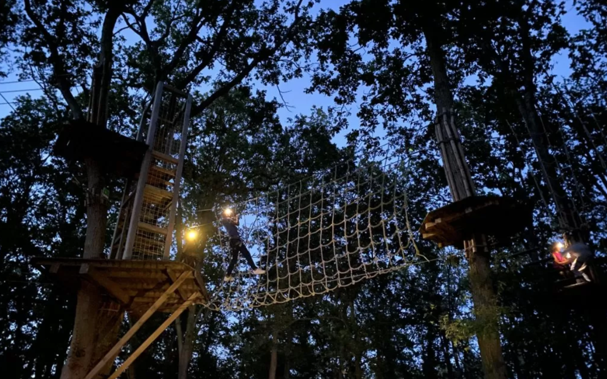 Une soirée d'accrobranche nocturne
