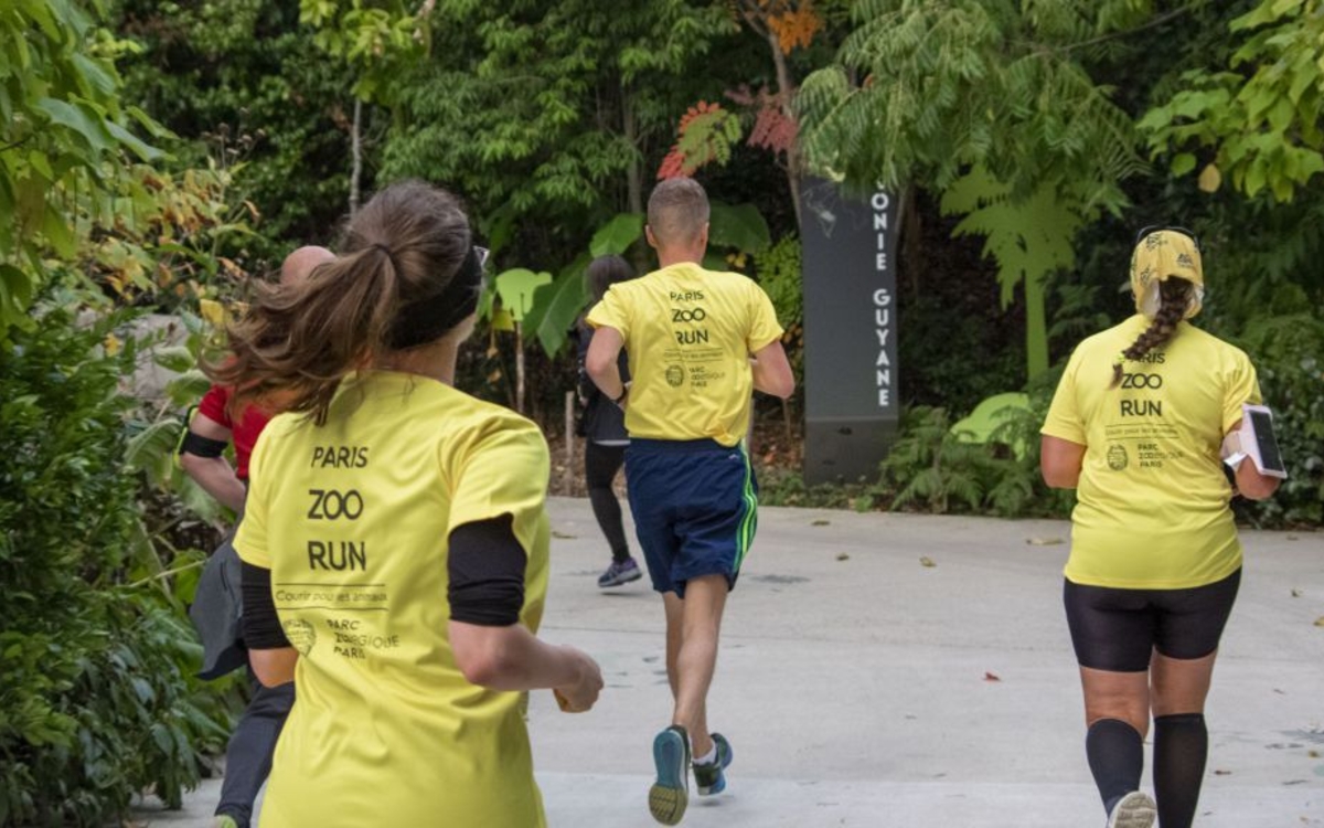 Paris Zoo Run 2024 : venez courir pour les rhinocéros !