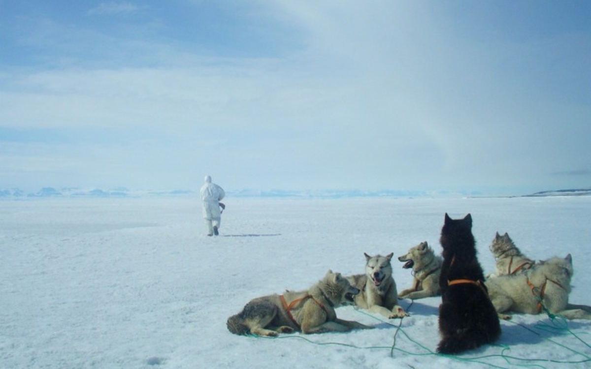 Automne de la Science : le Groenland, l'eau, la calotte glaciaire et la banquise | 