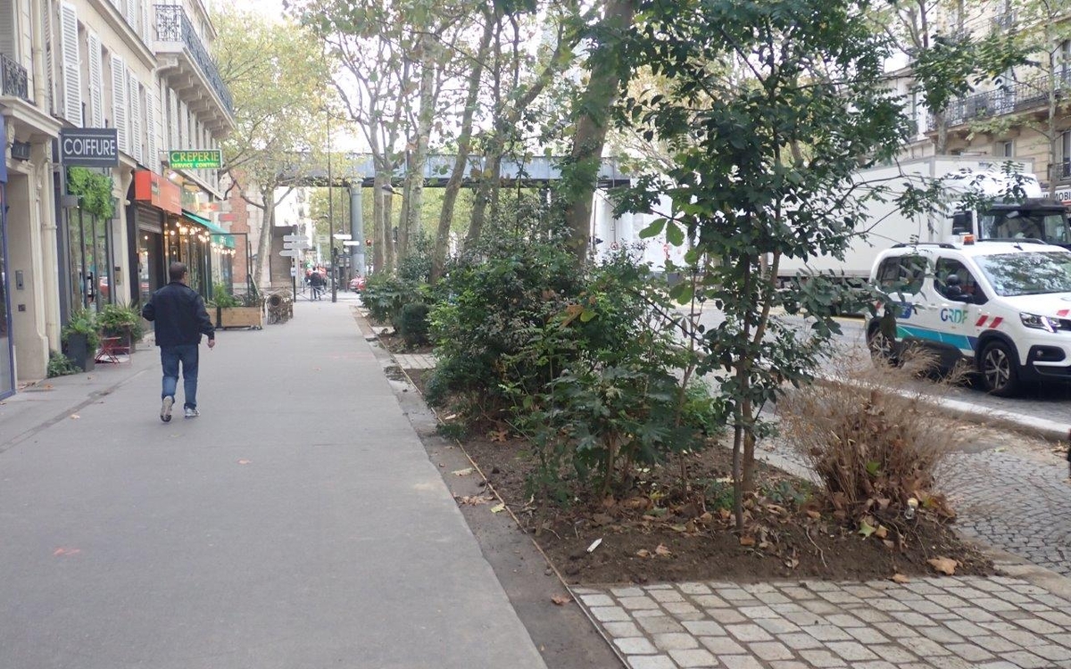 rues végétales 11 eme  - 