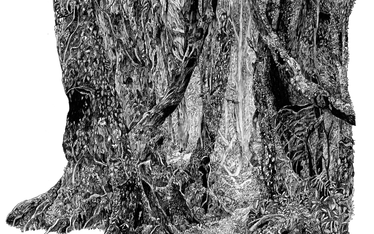 Portraits de paysages par Marguerite Charles Blumenthal