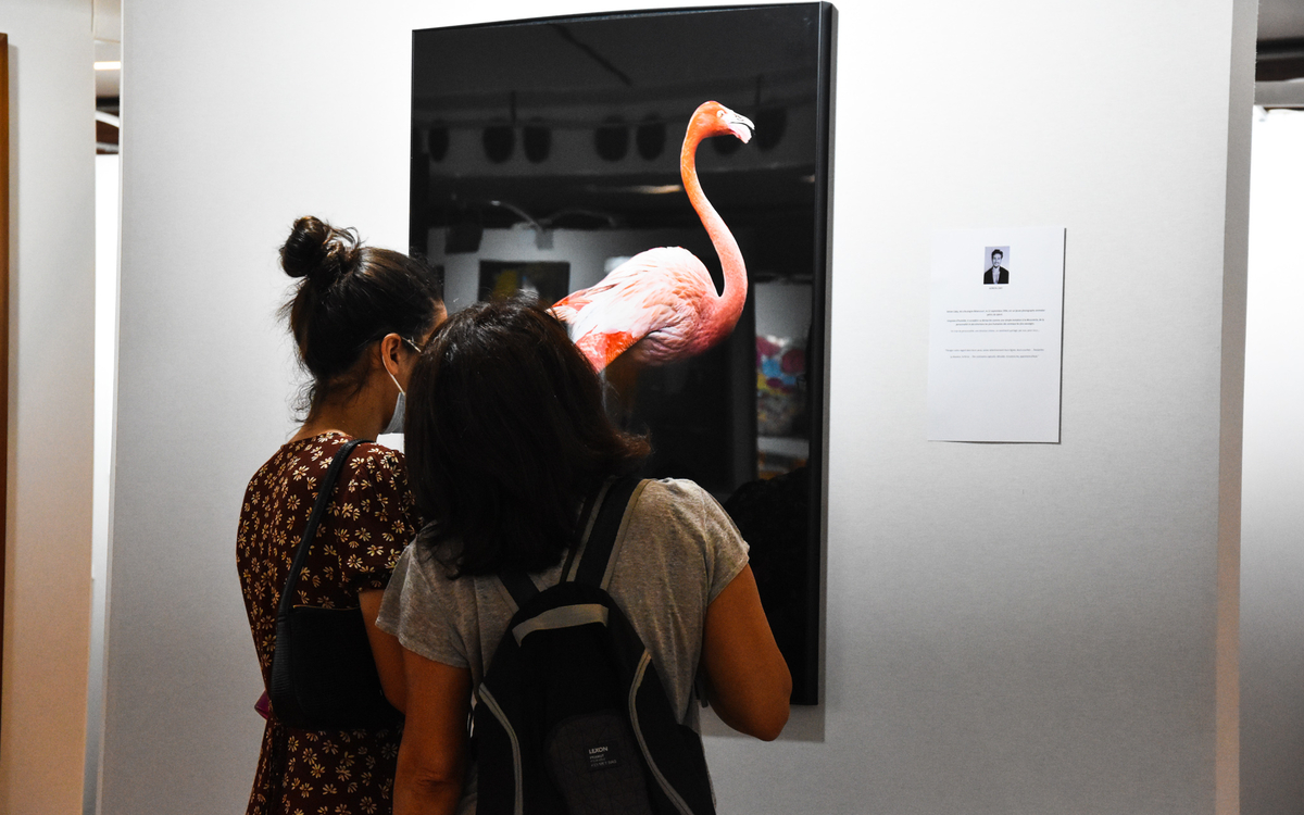 Le salon Art Shopping