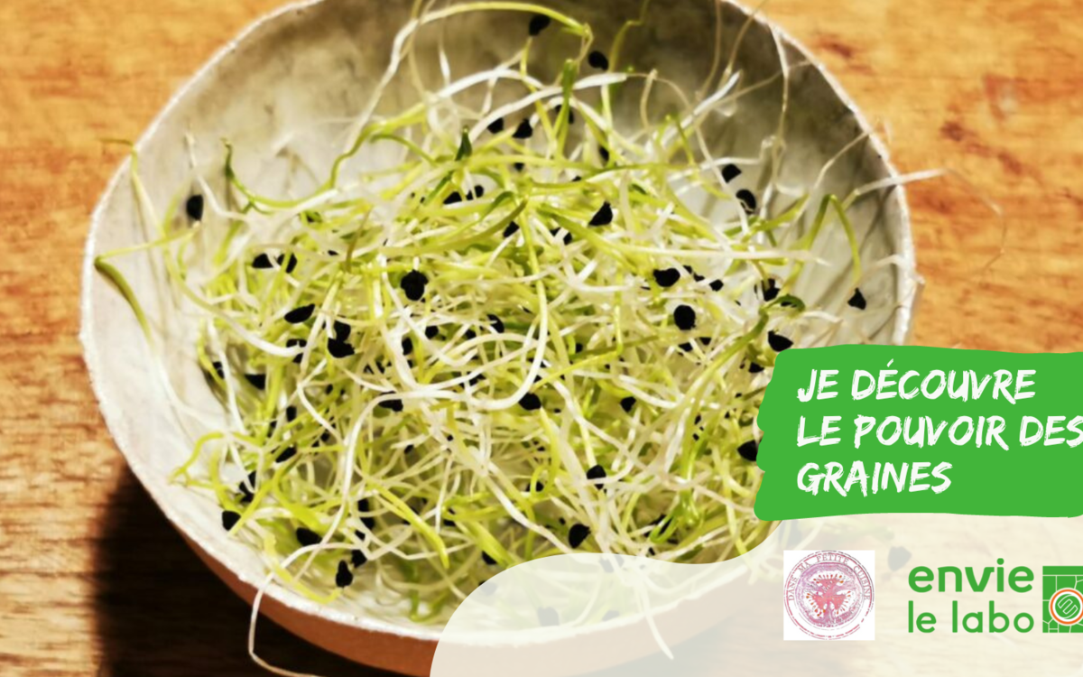 Atelier de sensibilisation autour de la biodiversité Envie Le Labo 