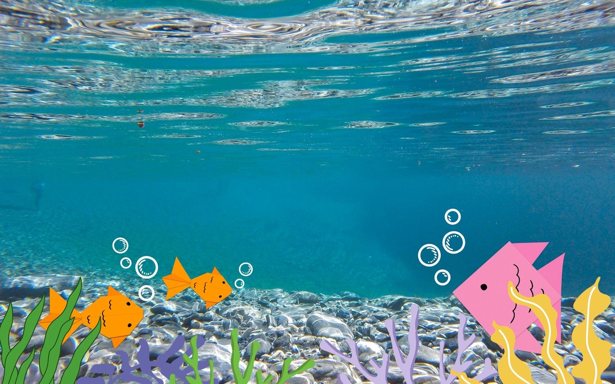 Vue sous-marine de poissons colorés 