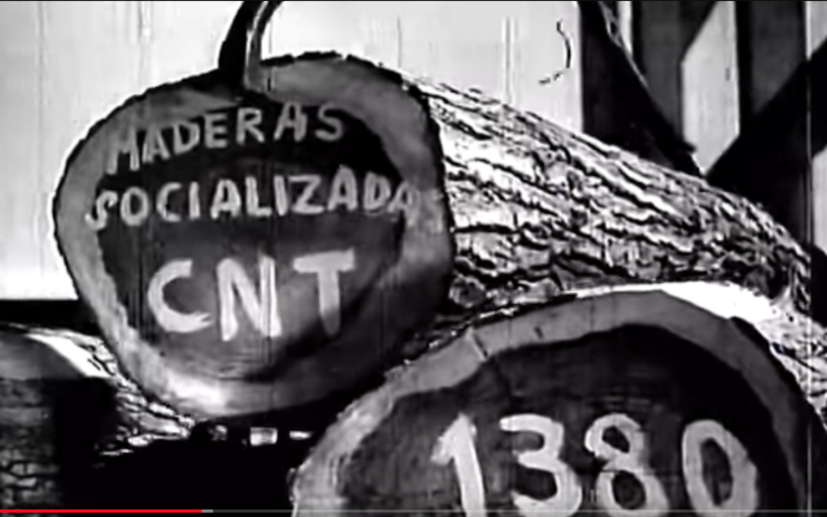 Entreprise du bois socialisée