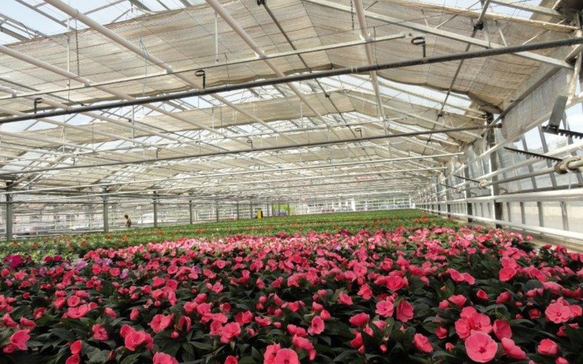 Centre de production horticole Rungis