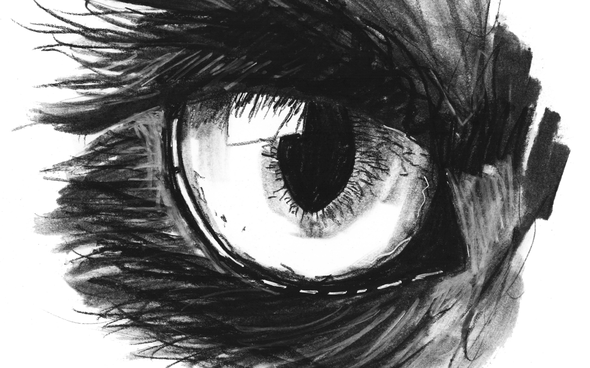 Benjamin Bondonneau - oeil