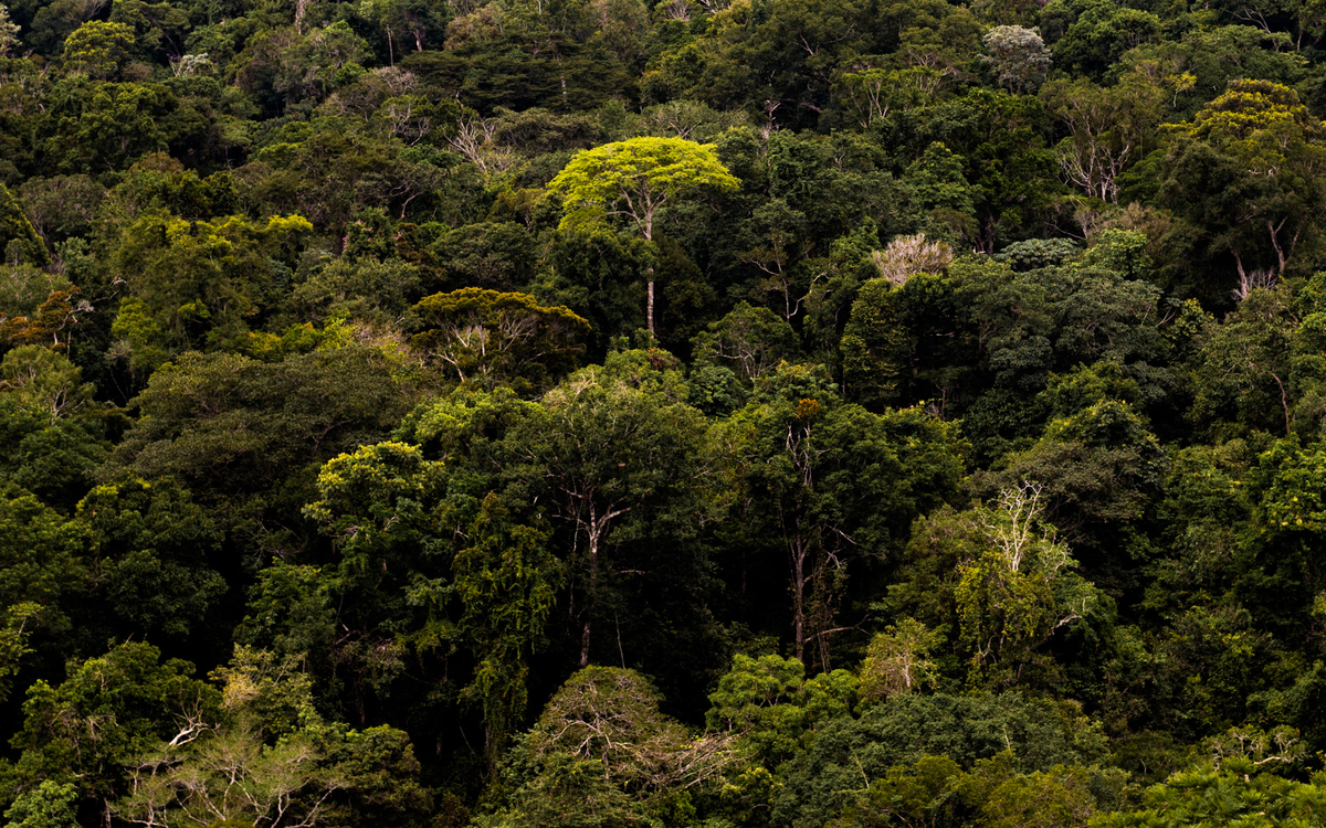 Amazonas - Emeric Fohlen