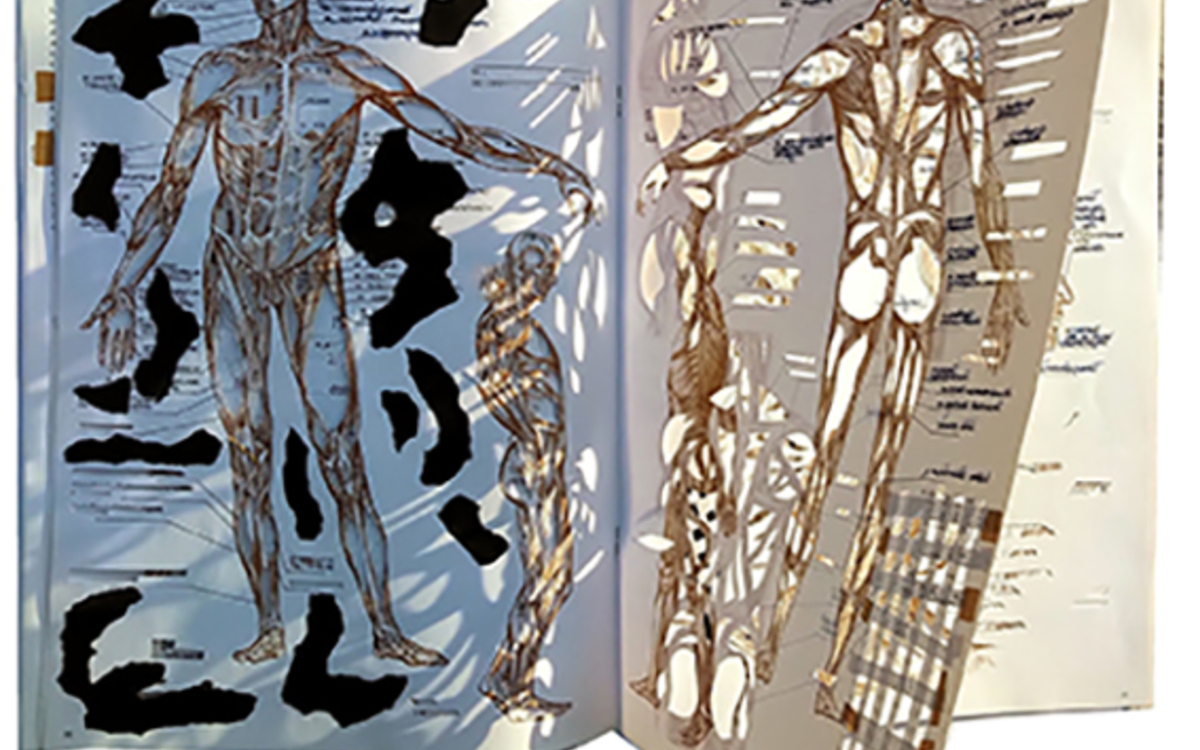 livres d'artistes comme une œuvre d'art 