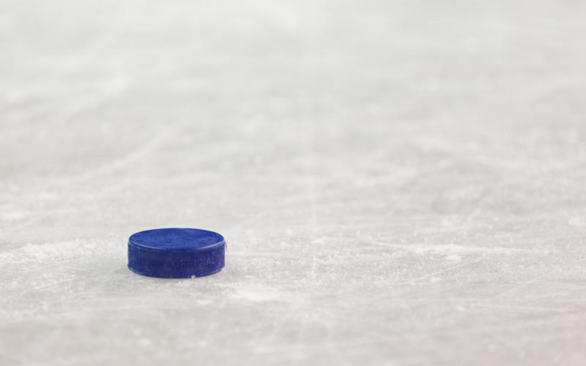 Palet de hockey sur glace