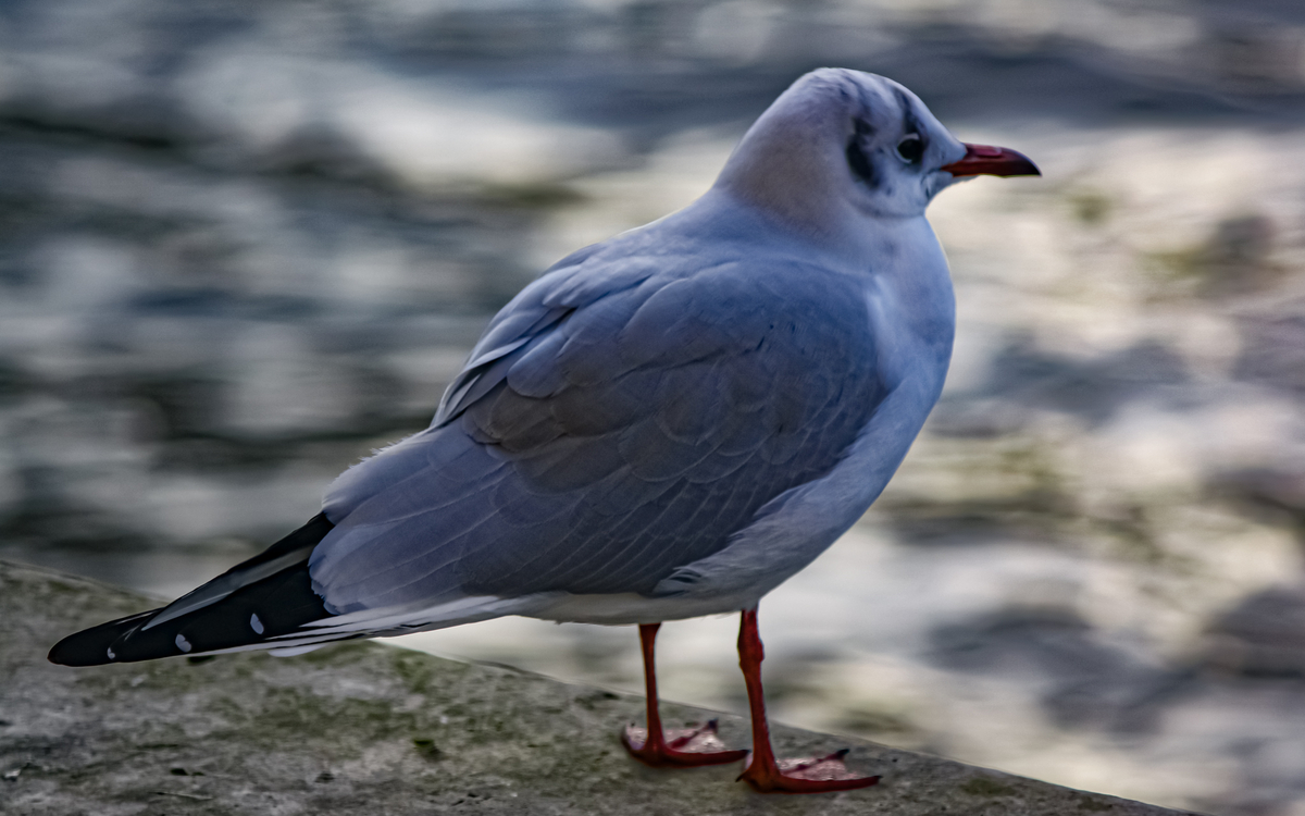 re